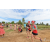 Team 33 / Raid Amazones Sri Lanka 2018 - J1 Trail