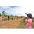 Raid Amazones Sri Lanka 2018 - J1 Trail