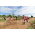 Team 04 / Raid Amazones Sri Lanka 2018 - J1 Trail
