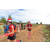 Team 36 / Raid Amazones Sri Lanka 2018 - J1 Trail
