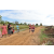 Team 80 / Raid Amazones Sri Lanka 2018 - J1 Trail
