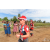 Team 80 / Raid Amazones Sri Lanka 2018 - J1 Trail