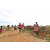 Team 129 / Raid Amazones Sri Lanka 2018 - J1 Trail