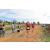 Team 31 / Raid Amazones Sri Lanka 2018 - J1 Trail