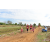Team 25 / Raid Amazones Sri Lanka 2018 - J1 Trail