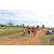 Team 25 / Raid Amazones Sri Lanka 2018 - J1 Trail