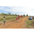 Team 49 / Raid Amazones Sri Lanka 2018 - J1 Trail