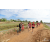 Team 119 / Raid Amazones Sri Lanka 2018 - J1 Trail