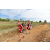Team 41 / Raid Amazones Sri Lanka 2018 - J1 Trail