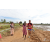 Team 119 / Raid Amazones Sri Lanka 2018 - J1 Trail