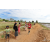 Team 119 / Raid Amazones Sri Lanka 2018 - J1 Trail