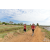 Team 35 / Raid Amazones Sri Lanka 2018 - J1 Trail