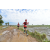 Team 53 / Raid Amazones Sri Lanka 2018 - J1 Trail