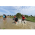 Raid Amazones Sri Lanka 2018 - J1 Trail
