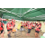 Team 18 / Raid Amazones Sri Lanka 2018 - J1 Trail