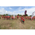 Team 24 / Raid Amazones Sri Lanka 2018 - J1 Trail