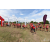 Raid Amazones Sri Lanka 2018 - J1 Trail