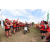 Raid Amazones Sri Lanka 2018 - J1 Trail
