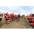 Raid Amazones Sri Lanka 2018 - J1 Trail