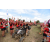 Team 34 / Raid Amazones Sri Lanka 2018 - J1 Trail
