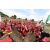 Raid Amazones Sri Lanka 2018 - J1 Trail