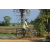 Raid Amazones Sri Lanka 2018 - J1 Trail