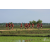Raid Amazones Sri Lanka 2018 - J1 Trail