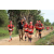 Raid Amazones Sri Lanka 2018 - J1 Trail