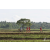 Raid Amazones Sri Lanka 2018 - J1 Trail