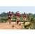 Team 02 / Raid Amazones Sri Lanka 2018 - J1 Trail
