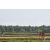 Team 102 / Raid Amazones Sri Lanka 2018 - J1 Trail