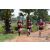 Team 112 / Raid Amazones Sri Lanka 2018 - J1 Trail