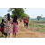 Team 57 / Raid Amazones Sri Lanka 2018 - J1 Trail