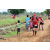 Team 51 / Raid Amazones Sri Lanka 2018 - J1 Trail