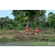Team 64 / Raid Amazones Sri Lanka 2018 - J1 Trail