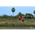 Team 35 / Raid Amazones Sri Lanka 2018 - J1 Trail