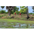 Team 64 / Raid Amazones Sri Lanka 2018 - J1 Trail