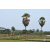Raid Amazones Sri Lanka 2018 - J1 Trail