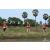 Team 68 / Raid Amazones Sri Lanka 2018 - J1 Trail