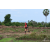 Team 68 / Raid Amazones Sri Lanka 2018 - J1 Trail