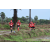 Team 74 / Raid Amazones Sri Lanka 2018 - J1 Trail
