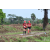 Team 74 / Raid Amazones Sri Lanka 2018 - J1 Trail