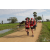 Team 10 / Raid Amazones Sri Lanka 2018 - J1 Trail