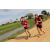 Team 07 / Raid Amazones Sri Lanka 2018 - J1 Trail