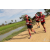 Team 40 / Raid Amazones Sri Lanka 2018 - J1 Trail