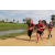 Team 25 / Raid Amazones Sri Lanka 2018 - J1 Trail