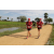 Team 58 / Raid Amazones Sri Lanka 2018 - J1 Trail