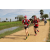 Team 80 / Raid Amazones Sri Lanka 2018 - J1 Trail