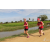 Team 61 / Raid Amazones Sri Lanka 2018 - J1 Trail