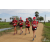 Team 41 / Raid Amazones Sri Lanka 2018 - J1 Trail